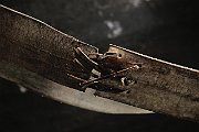 slides/090411_080_a.html
