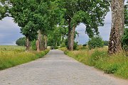 slides/110703_115_a.html