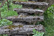 slides/140607_240_a.html