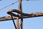 slides/070915_166_a.html