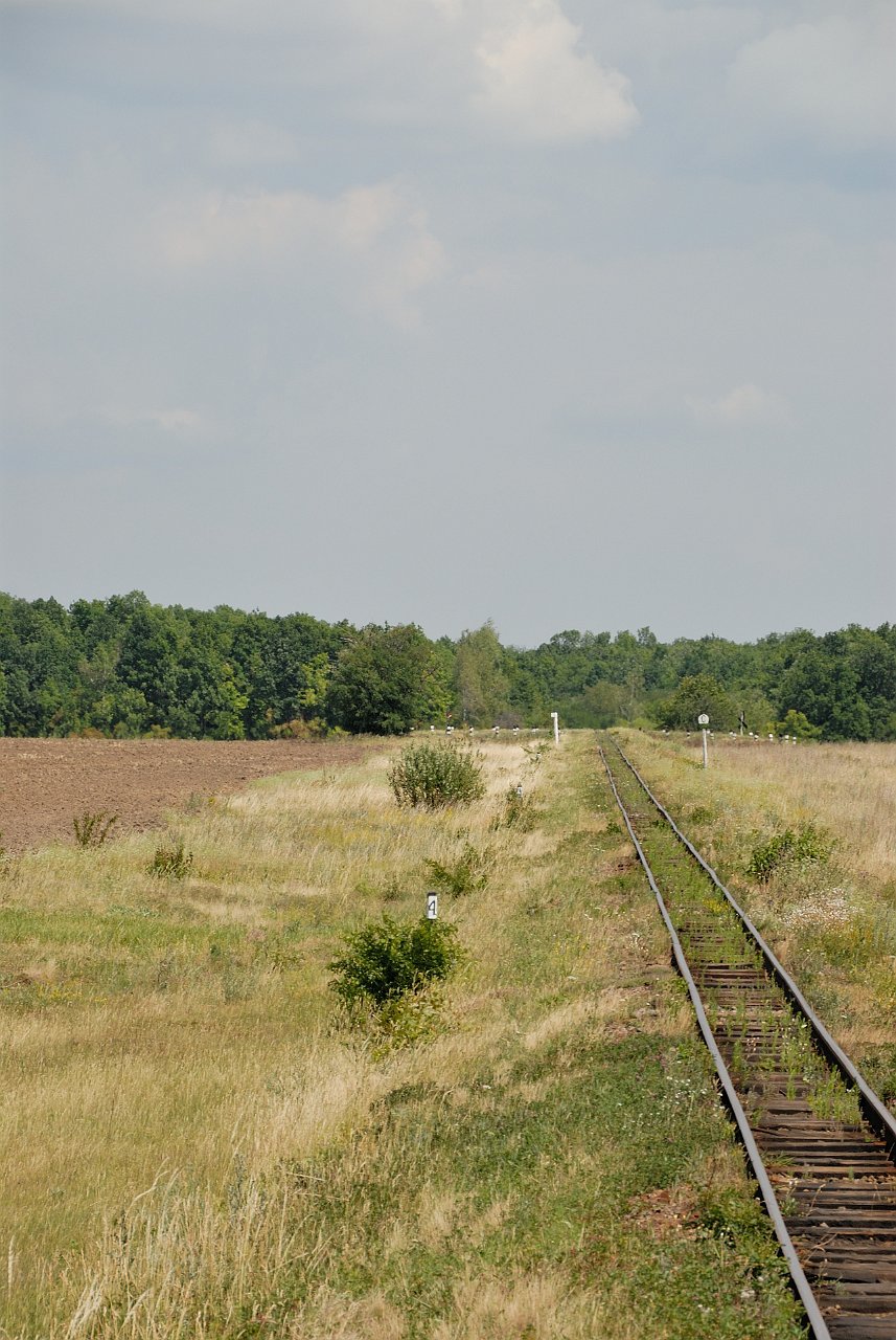 070713_133_a