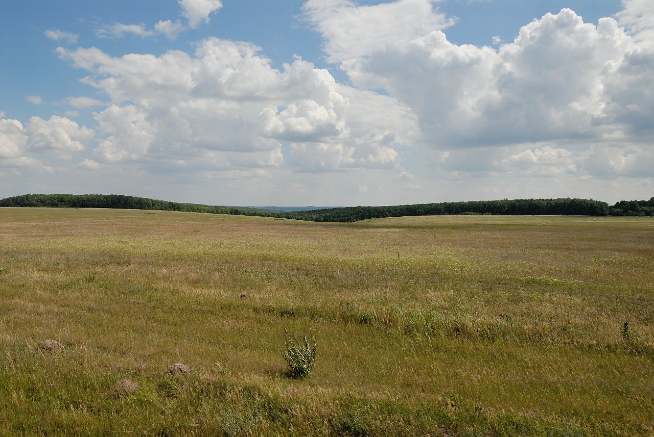 070713_134_a