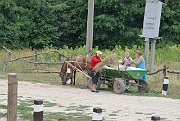 slides/070713_145_a.html
