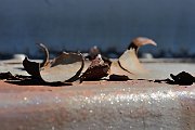 slides/100627_065_a.html