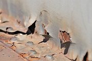 slides/100627_211_a.html