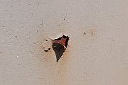 slides/100627_225_a.html