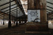 slides/090328_226_a.html