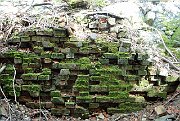 slides/060902_099_a.html