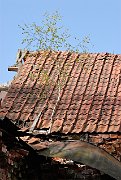 slides/070428_008_a.html
