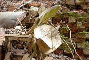 slides/070428_020_a.html