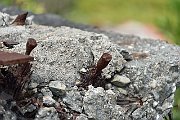 slides/150703_069_a.html