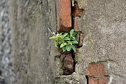 slides/150703_102_a.html