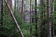 slides/110918_009_a.html