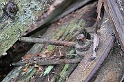slides/110918_026_a.html