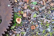 slides/110918_035_a.html
