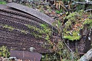 slides/110918_065_a.html