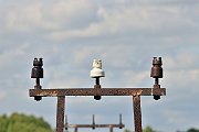 slides/100720_073_a.html