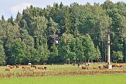 slides/100806_183_a.html