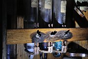 slides/090329_087_a.html
