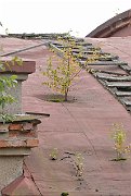 slides/070909_169_a.html
