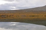 slides/090911_021_a.html