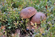 slides/090911_080_a.html