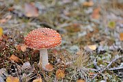 slides/090911_090_a.html