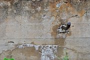 slides/110704_081_a.html