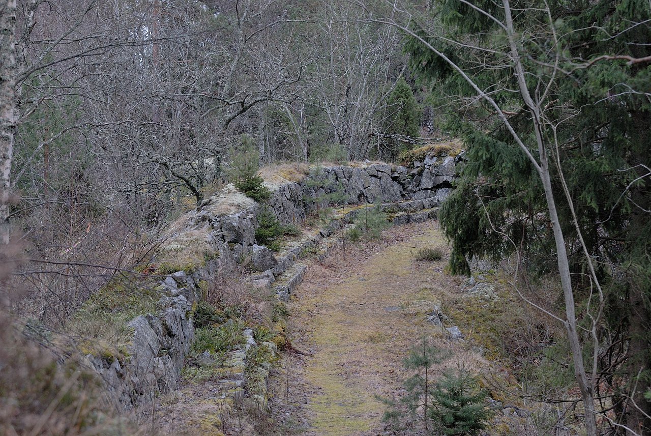 080208_062_a