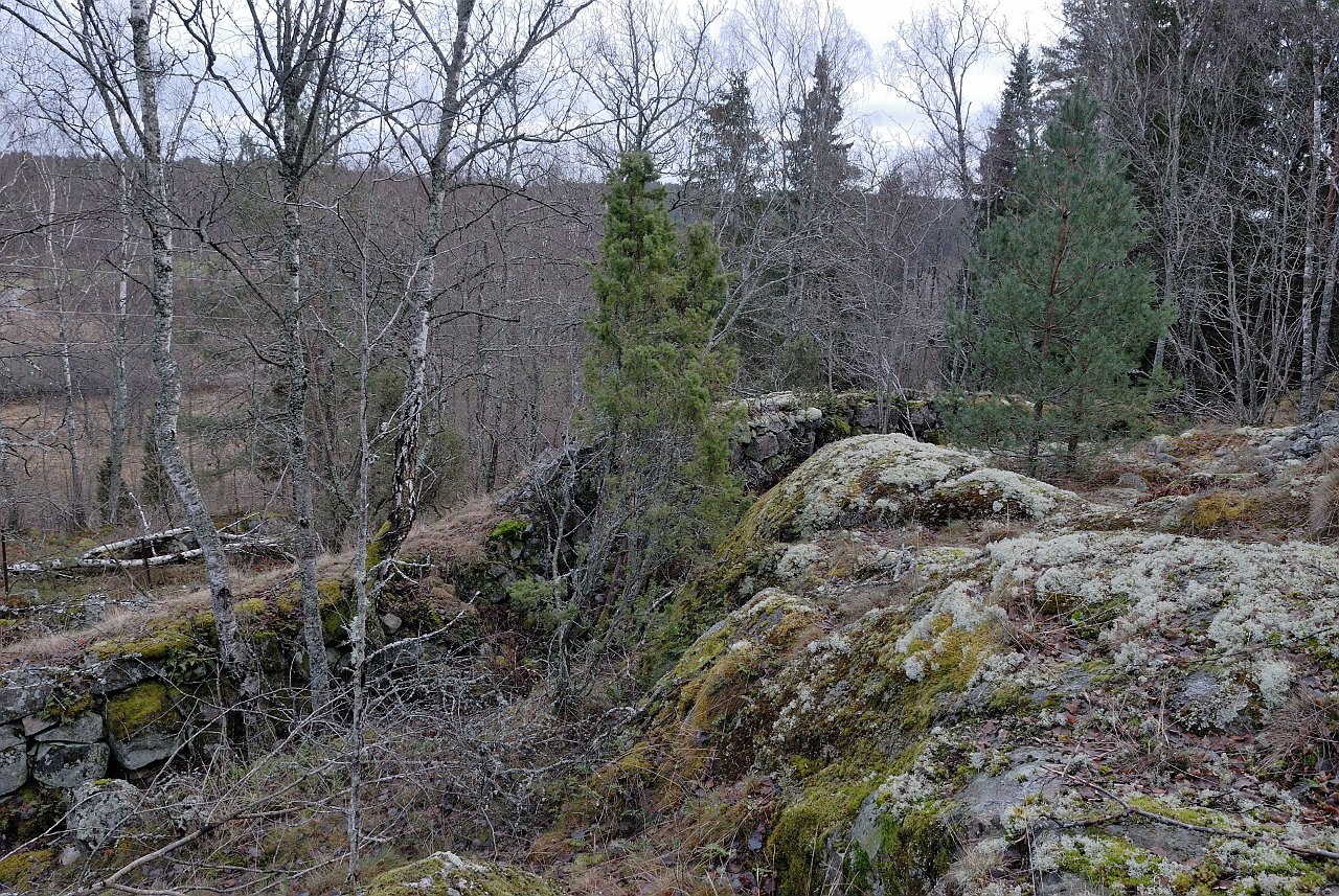 080208_086_a