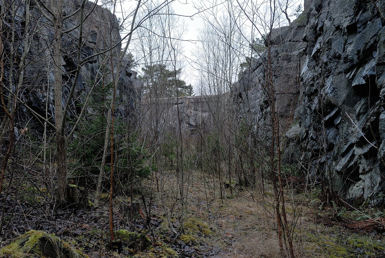 080208_098_a
