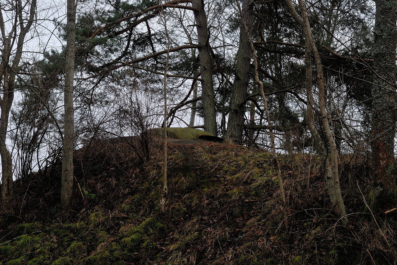 080208_113_a