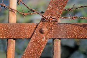 070315_137_a.jpg