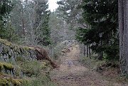 slides/080208_061_a.html