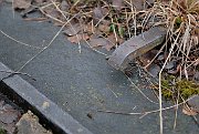 slides/080208_066_a.html