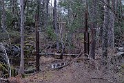 slides/080208_125_a.html