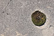 slides/090627_030_a.html