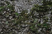 slides/110703_117_a.html