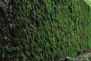 slides/110703_126_a.html