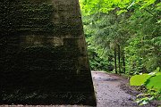 110703_133_a.JPG