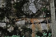slides/110703_141_a.html