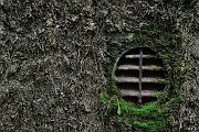 slides/110703_147_a.html