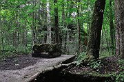 slides/110703_157_a.html