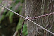 slides/070916_217_a.html