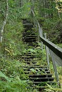 slides/070916_219_a.html