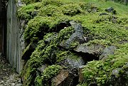 slides/070916_222_a.html
