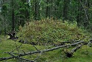 slides/070916_223_a.html