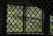 slides/070916_227_a.html