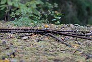 slides/070916_230_a.html