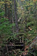 slides/070916_236_a.html